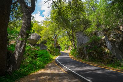 Straße zum Yosemite Nationalpark